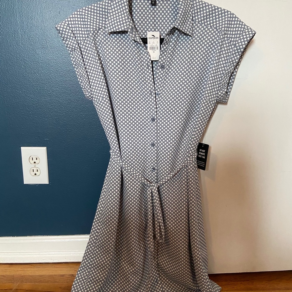 Express Polka Pot Dress